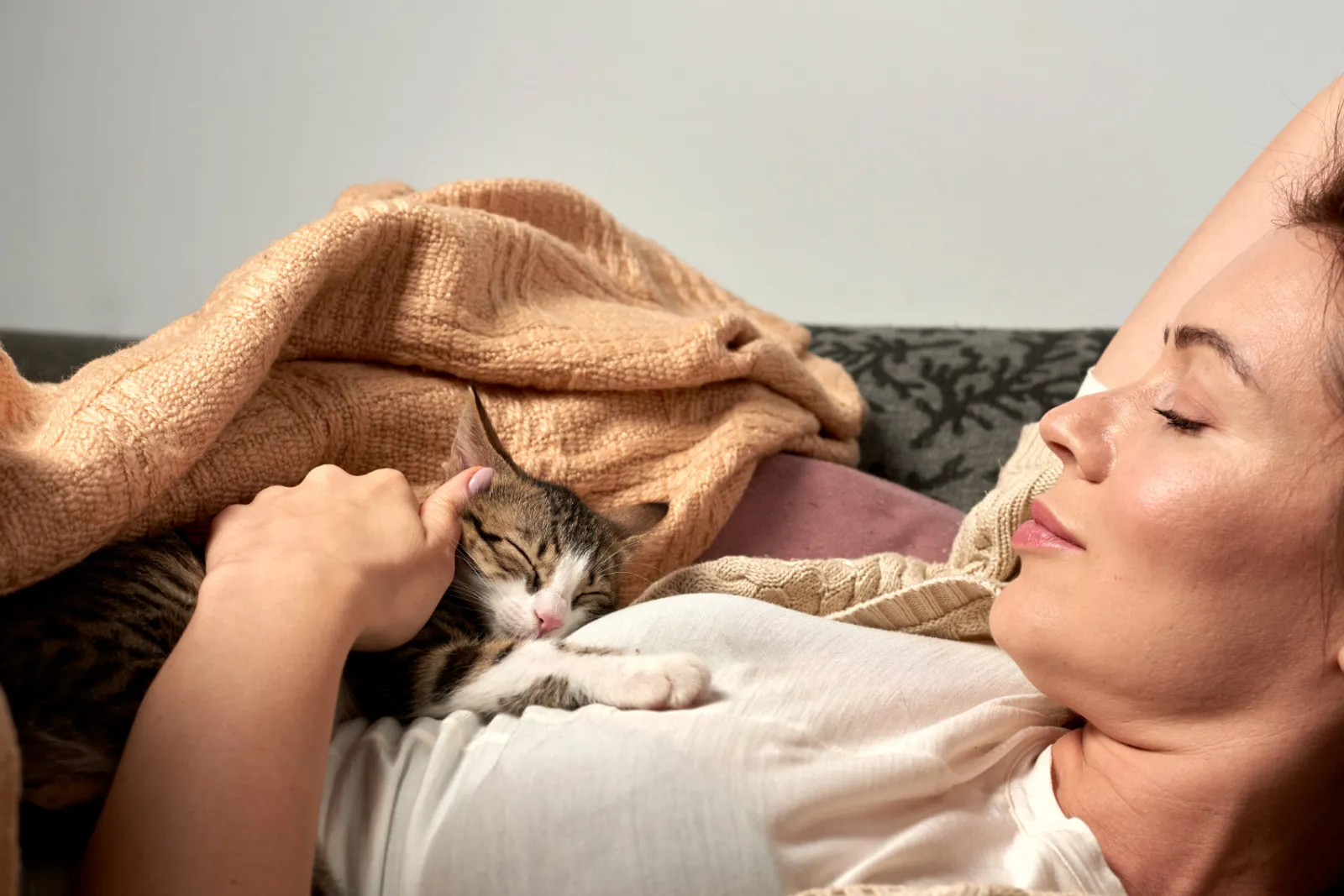 Un chat domestique observe son environnement depuis un rebord de fenêtre lumineux, dans un intérieur calme et soigné.