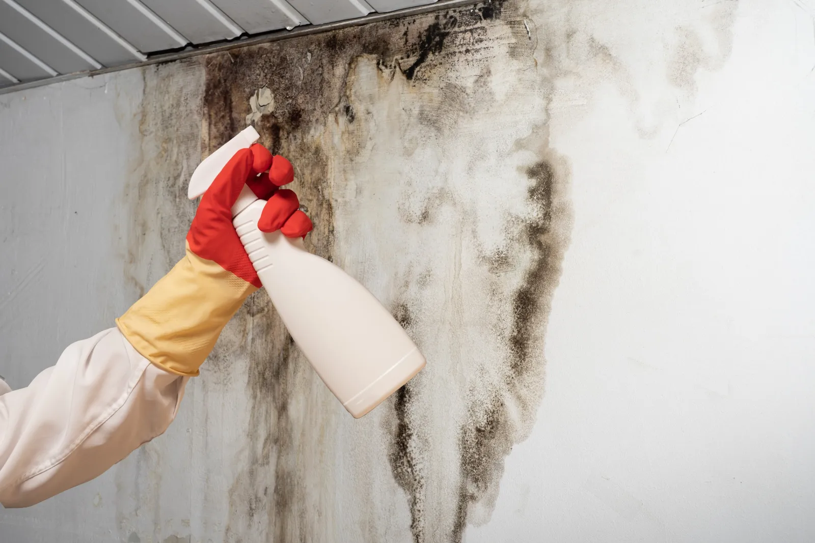 Une personne mesure la qualité de l’air intérieur près d’un mur humide, dans une maison éclairée naturellement.